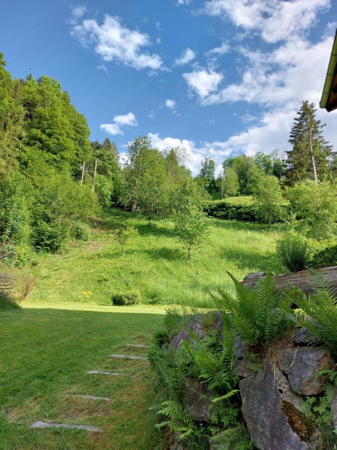 Chalet Peter Zell am See Kültér fotó